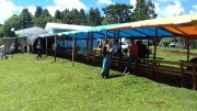 Crescimento do campo misisonário