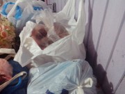 Obra Respaldada pela UMESC