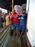 Projeto Amazonas Xingu - UMESC